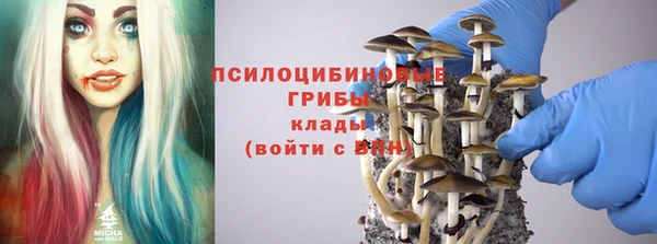 дмт Богородск