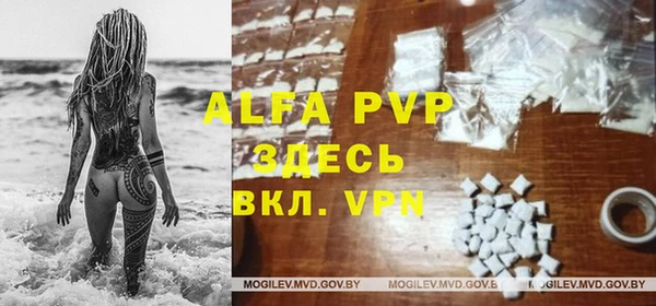 твердый Богданович