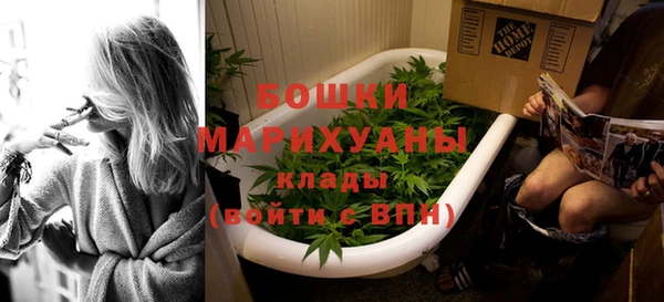 твердый Богданович