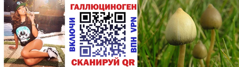 Псилоцибиновые грибы Psilocybe  Малаховка 